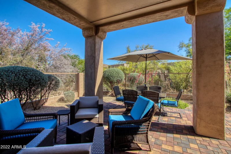 Backyard 1