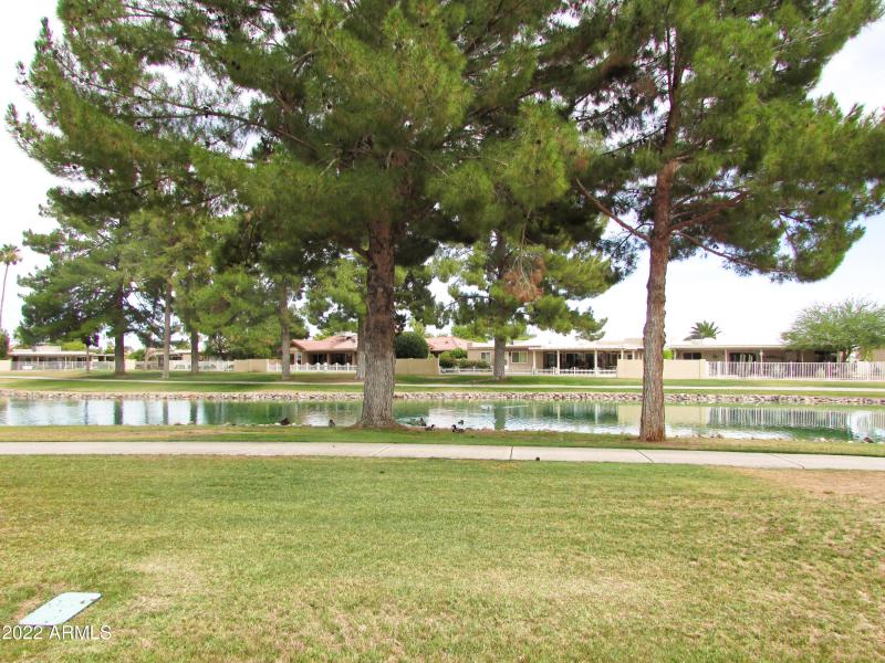 Backyard Water View