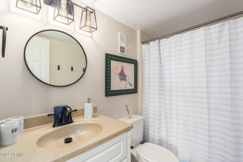 15 Royal Palm