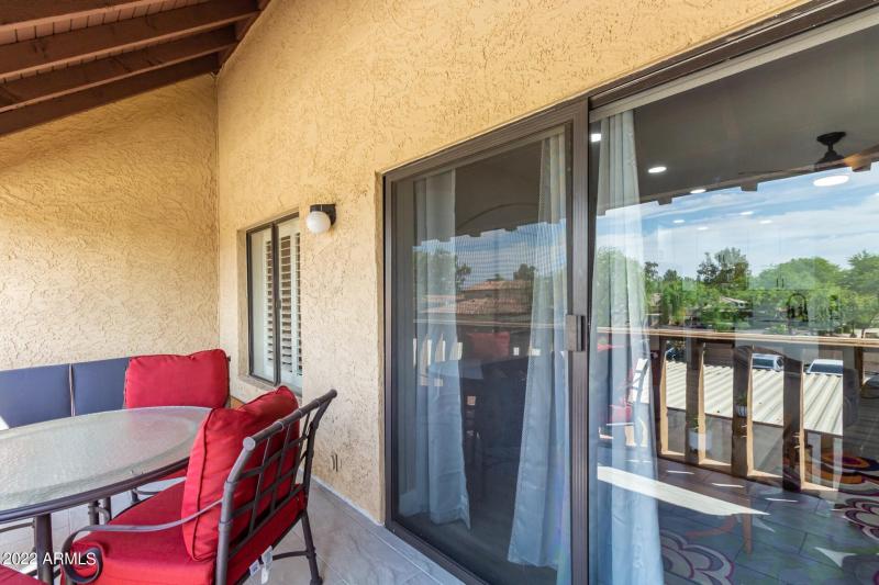 20 Royal Palm