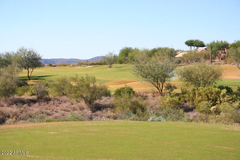 Persimmon #15