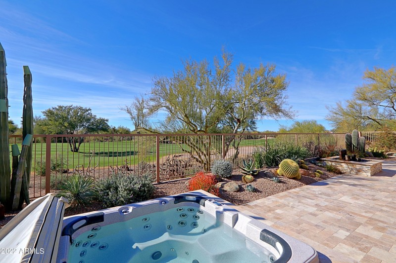 Backyard 1