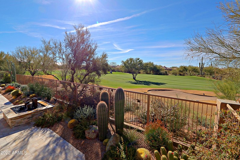 Backyard 8