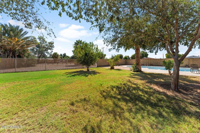 Fenced Back Yard