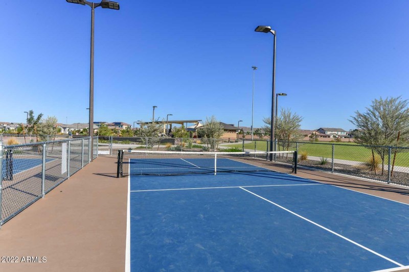 Community Pickleball Court