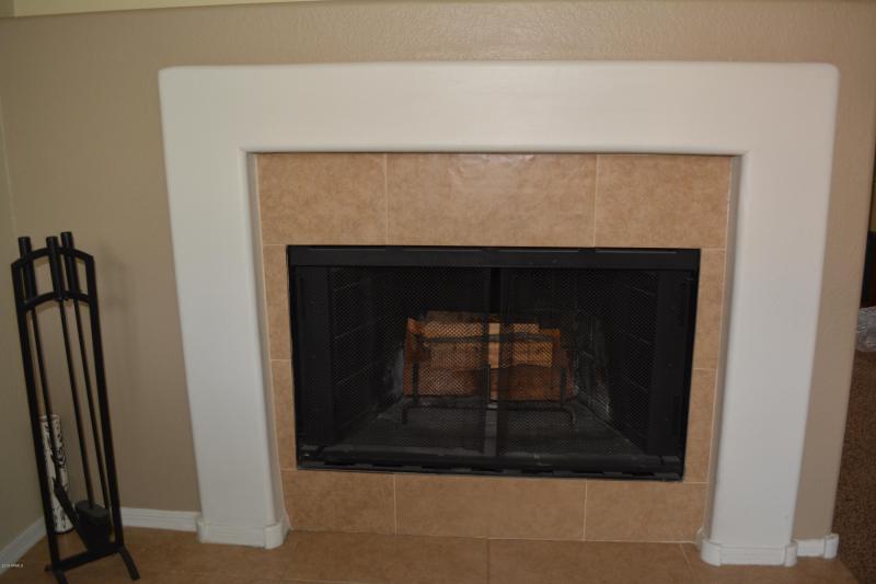 Wood Burning Fireplace