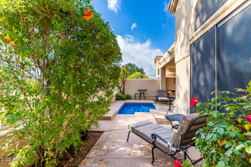 Patio and Spa