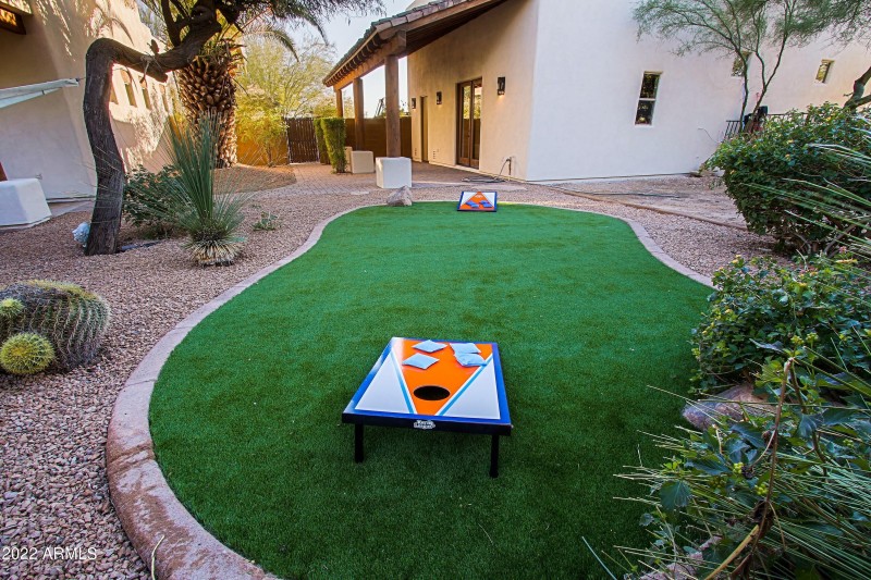 Backyard 5