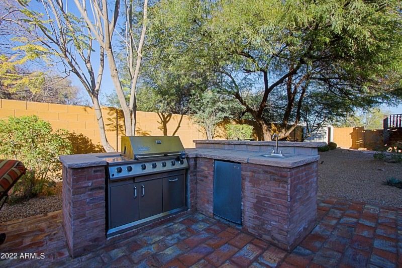 Backyard 19