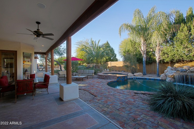 Backyard 23