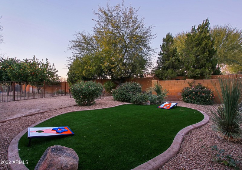 Backyard 34