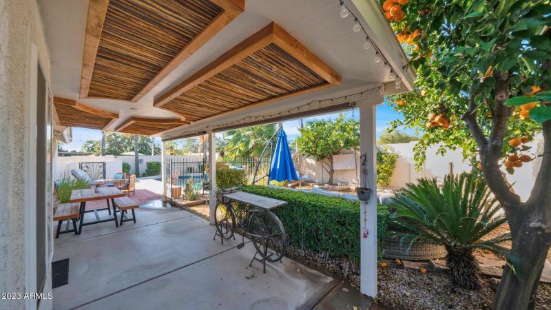 Covered Patio & Yard