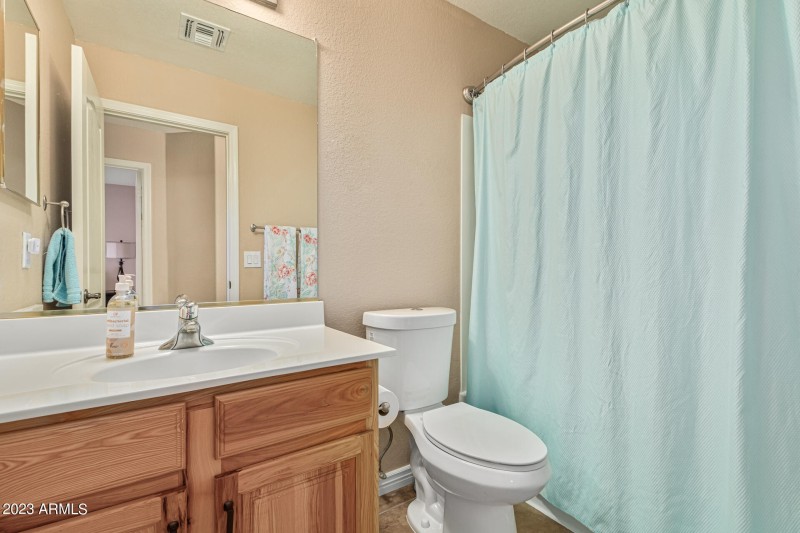 Hall Bathroom 2