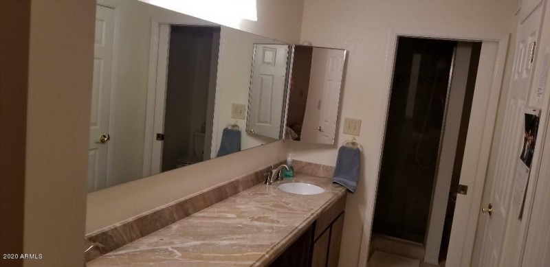 Master Bathroom-9647 E Palomino