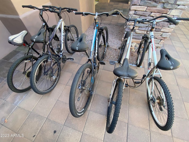 Z9 - Free Bicycles