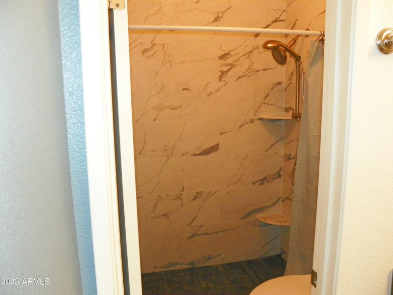 olson shower 2