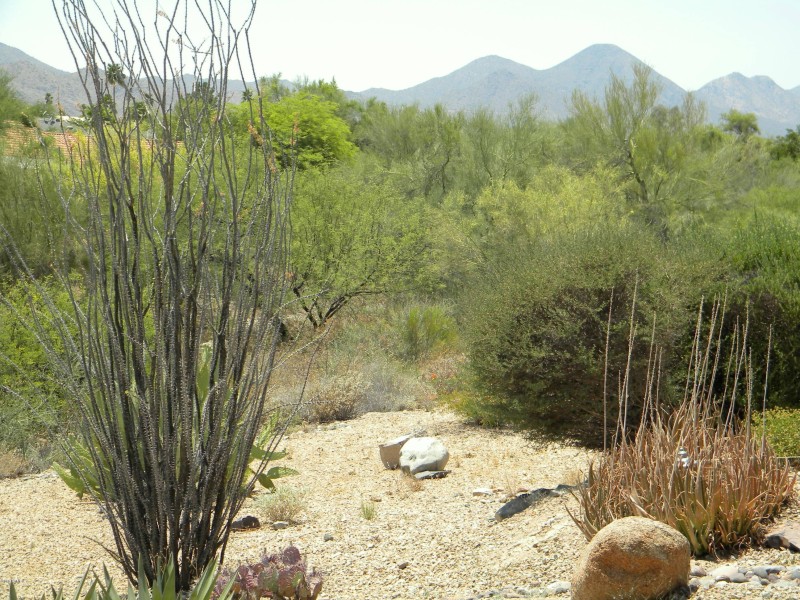 14402 N Isben Dr B Fountain Hills