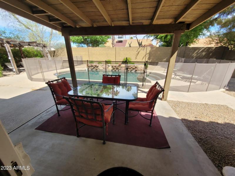 backyard1