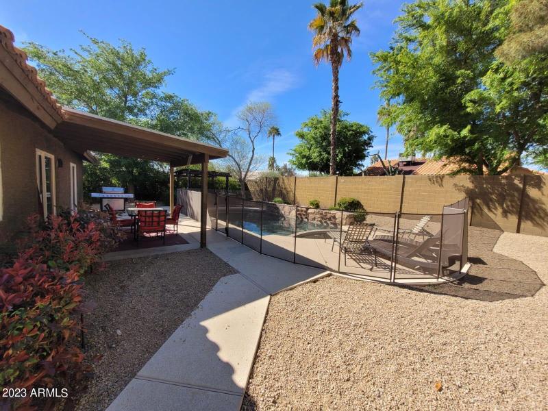 backyard3