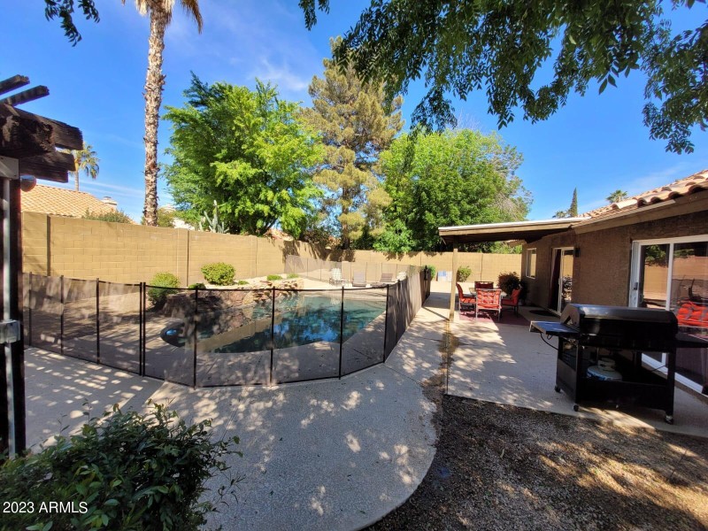 backyard4