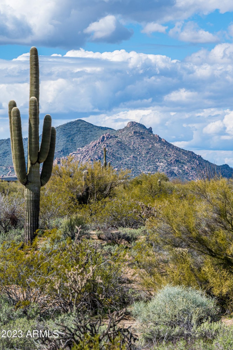 Lot 125 at 8614 E Artisan Pass -13