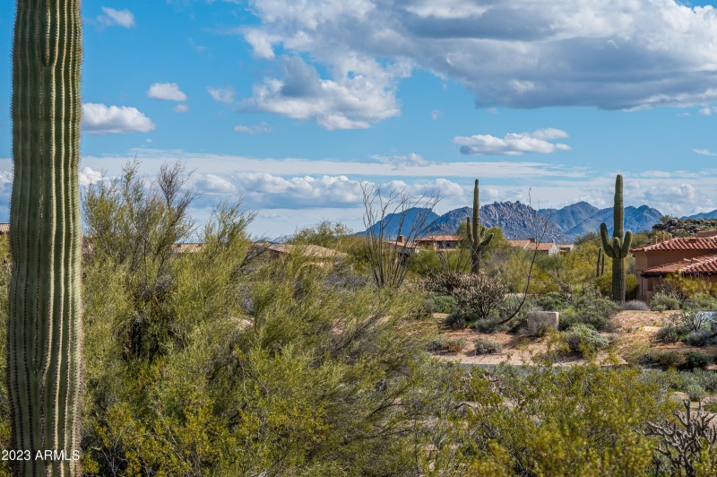 Lot 125 at 8614 E Artisan Pass -15