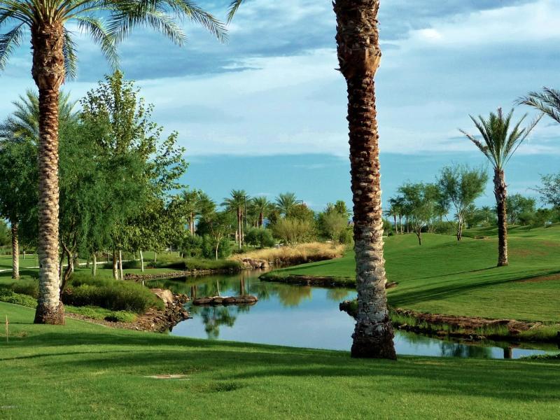 VIEW FROM TRILOGY BLVD