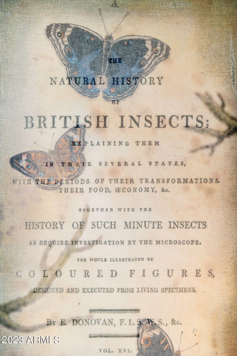 45-web-or-mls-4909-e-tumbleweed-cir