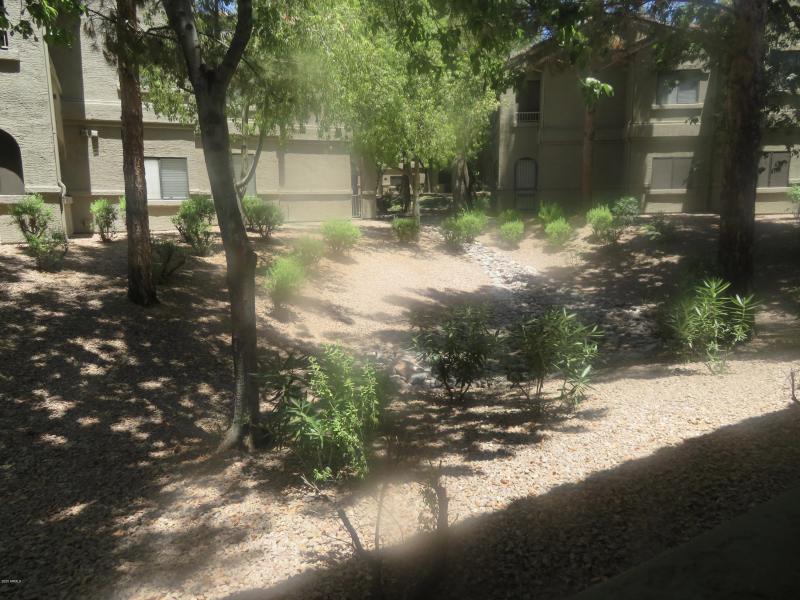 PATIO FACES COMMON AREAS