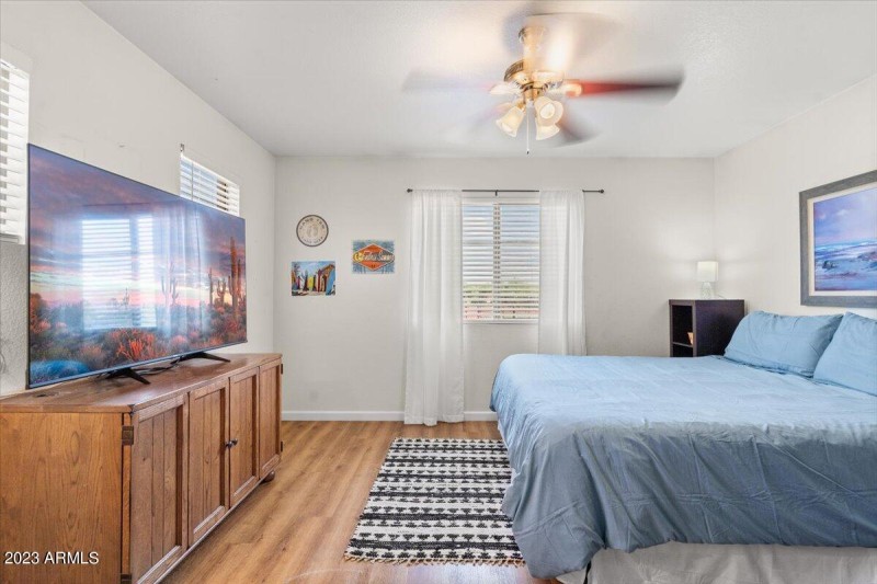 Primary Bedroom with TV