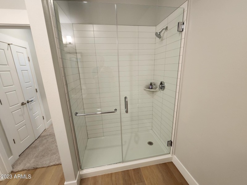 Master Walk-In Shower
