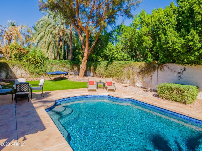 Tropical Oasis