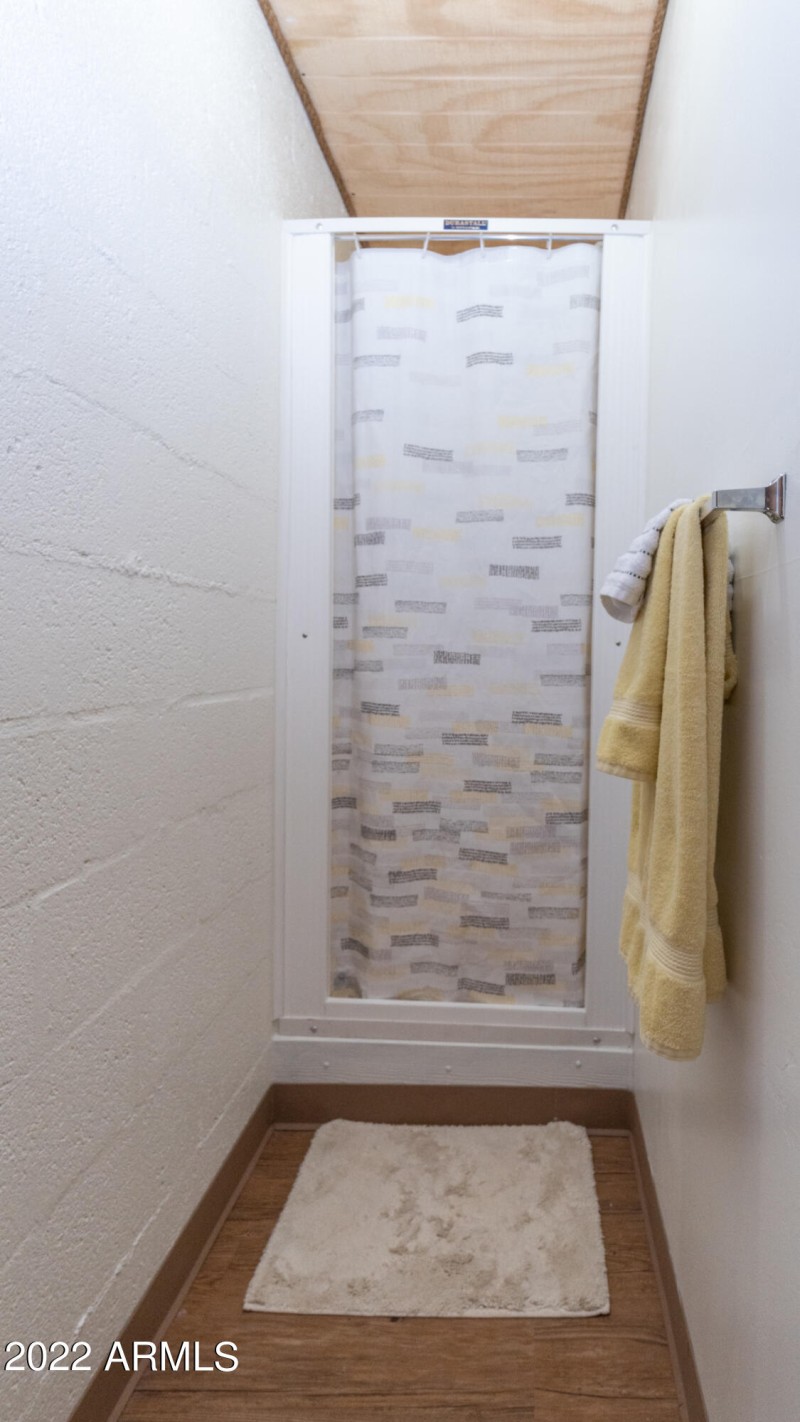 downstairs bathroom shower