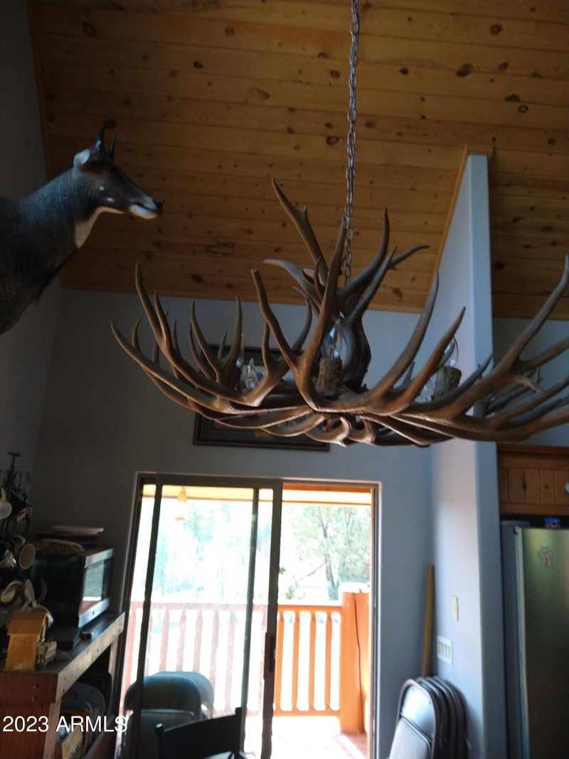 IMG_20231007_134219173 (3)