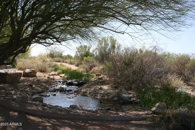 Riparian Preserve Gilbert Arizona 2