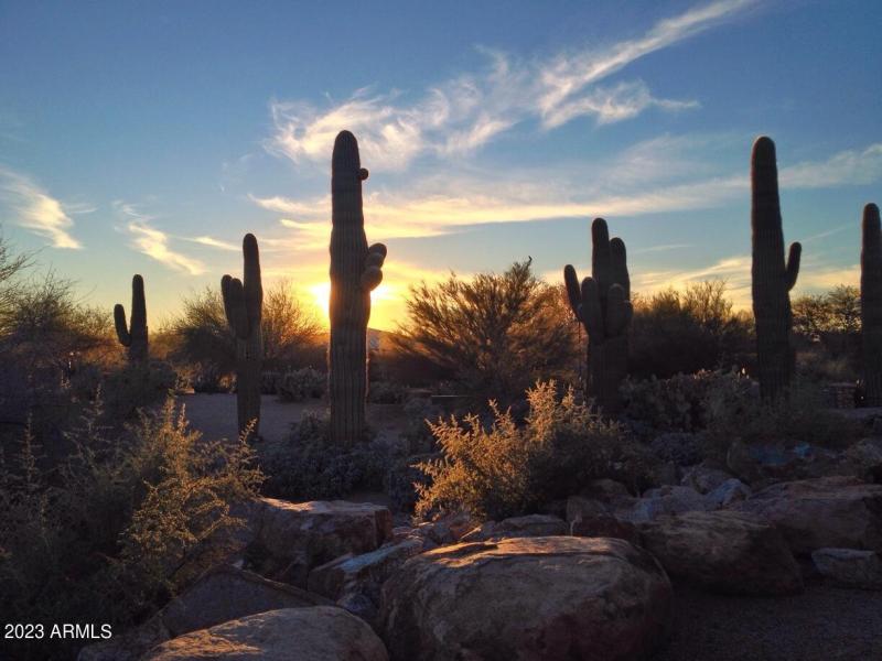 Riparian Preserve