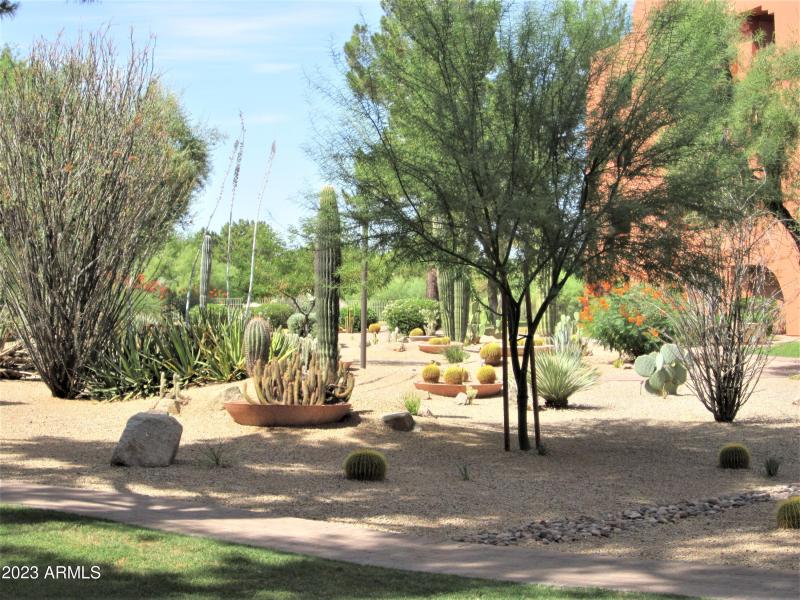 ANASAZI CACTUS GARDEN 720