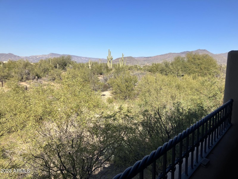 View from Junior Suite