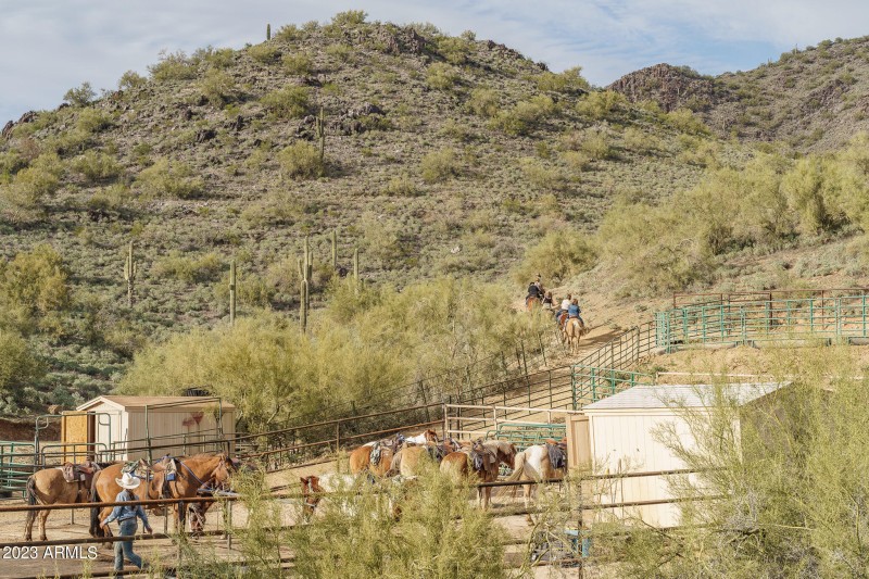 B) Cave Creek Regional Park