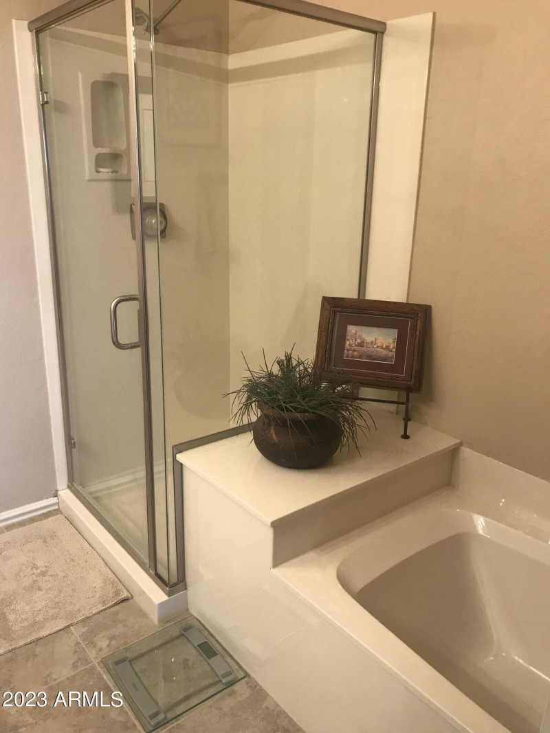 Master Bathroom 2
