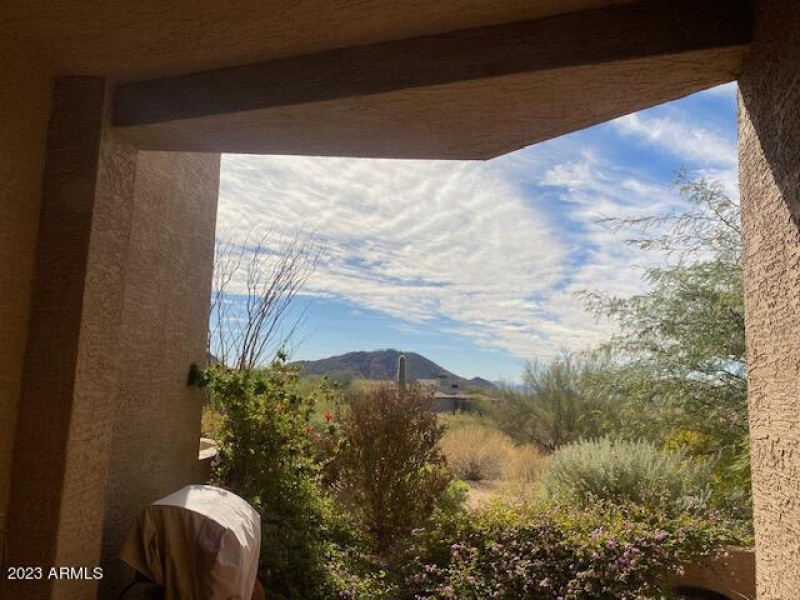 S.T. View from back Patio