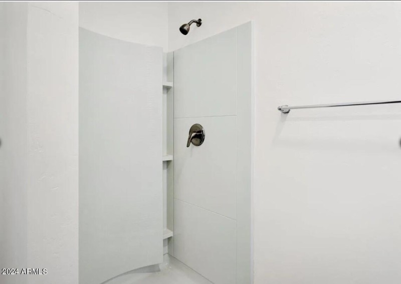 Master Walk-in Shower