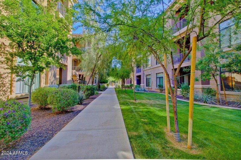 20161210211306534506000000-o