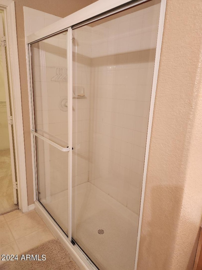 Primary Bath Walk In Shower