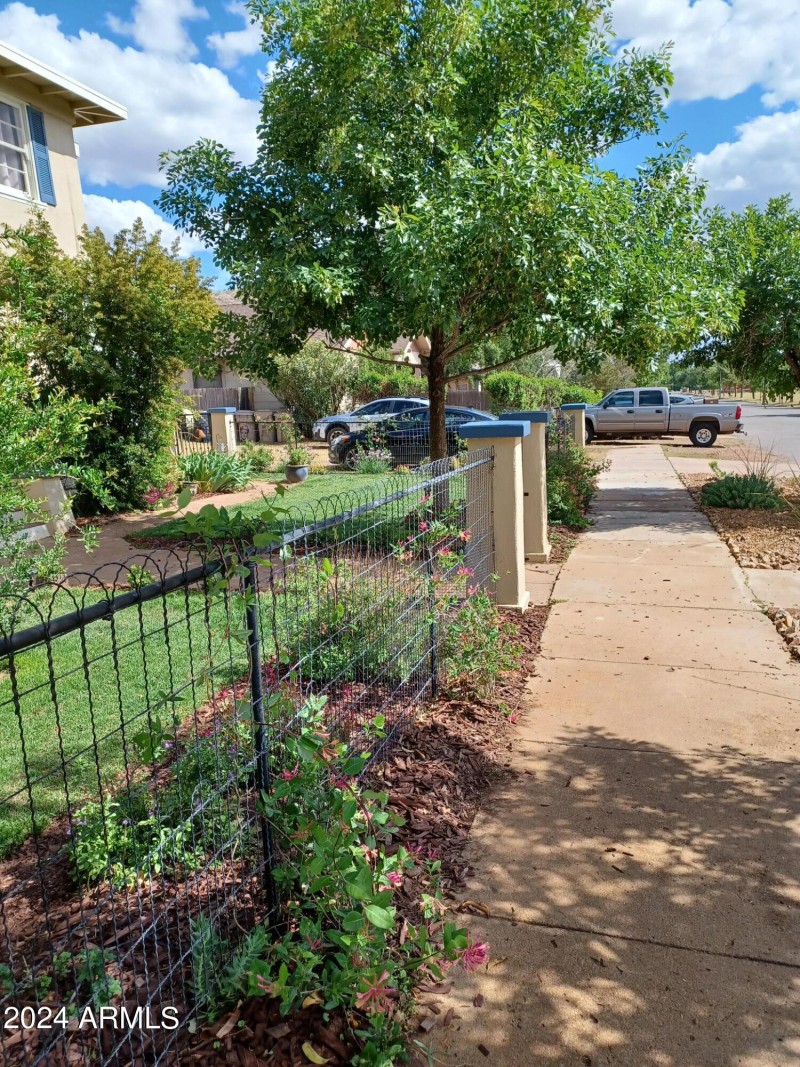 Front yard in summer in bloom 20230515_1