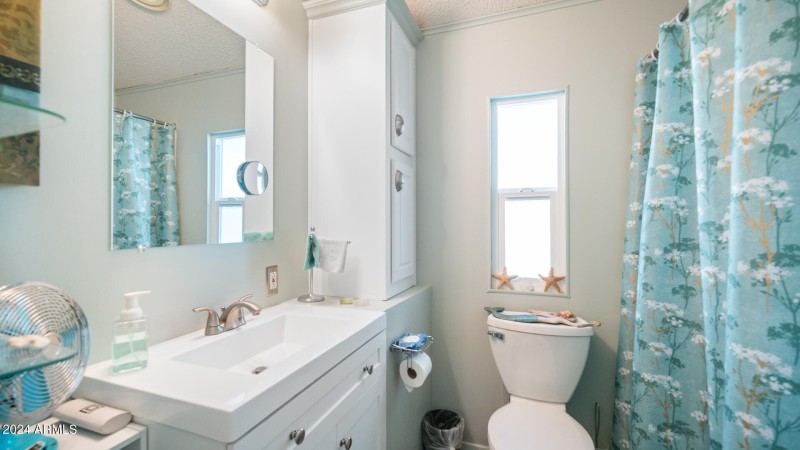 3710 S Goldfield Rd Lot 690 - 18