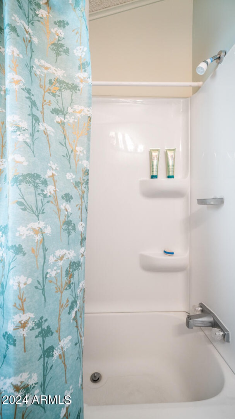 3710 S Goldfield Rd Lot 690 - 19