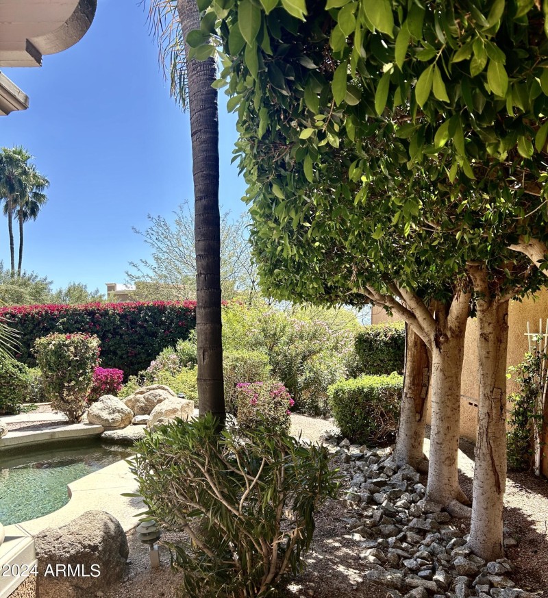 A6ED6F9A-1149-4E42-AA75-AF11EB66390B