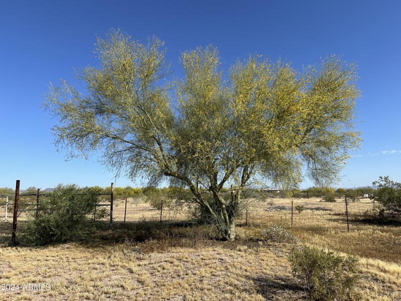 Photo Apr 26 2024, 8 16 35 AM