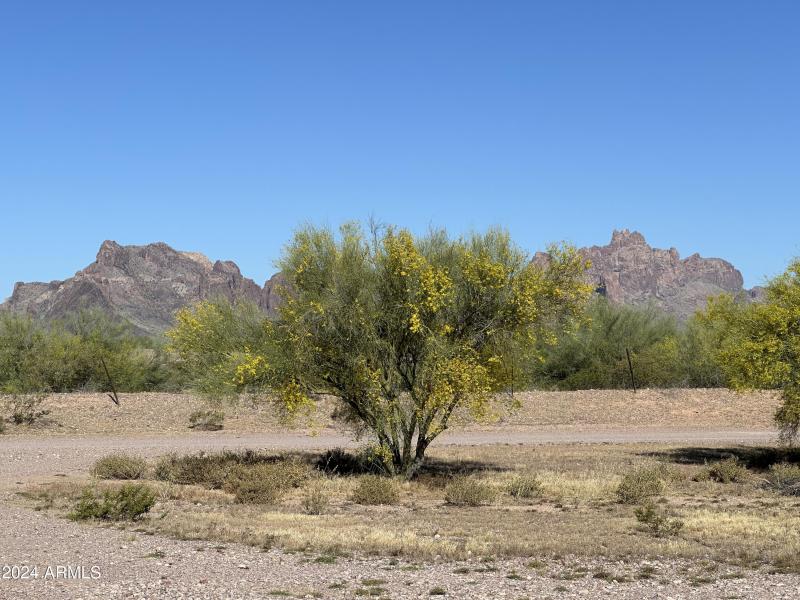 Photo Apr 26 2024, 8 32 39 AM